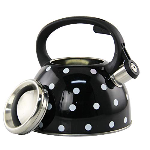 Riwendell 2.7 Quart Whistling Color Dot Tea Kettle Stainless Steel StoveTop Teapot (GS-04016F-2.5L-1)