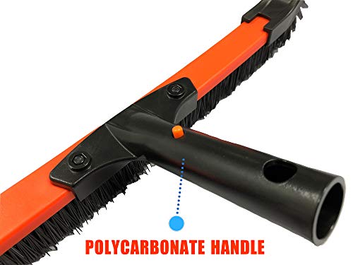 Daveyspa Light 18'' Handle Poly Carbon Material Swimming Pool Brush PP Bold Brush Wall, Tile and Floor Curved Cleaning Brush, Removable on Both Sides