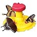Butterfly Feeder