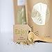Organic Roasted Sunflower Seed Flour 16 oz