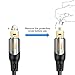 CableCreation Digital Audio Cable 10FT, Digital Optical Cable [24K Gold Connector, Nylon Braided] Optical Audio Cable for Home Theater, Sound Bar, TV, PS4, Xbox & More, 3M