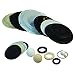 N02-9582-53 PX200 FKM/Metallic Fluid End Kit Replaces Wilden P/N 02-9582-53