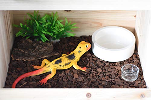5 OMEM+Worm+Dish+Reptile+Ceramics
