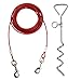 20ft Dog Tie Out Cable with 16
