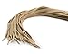 OrthoStep Flat Athletic Tan 36 inch Shoelaces 2 Pair Pack