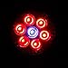 Grow Lights by HOME2YOU, Made With Genuine LED Lights, Full-Spectrum, 7 LED Lights - 6 Red and 1 Blue Create the Perfect Wavelength, Full One Year Warranty
