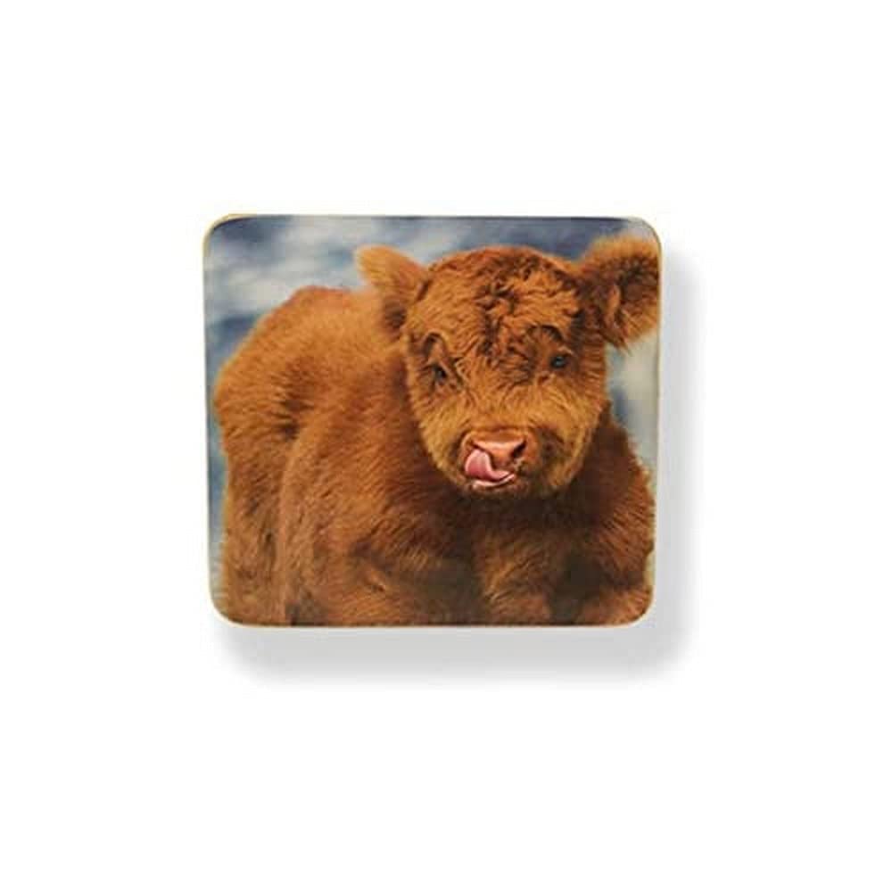 CHEEKY CALF COASTER SET OF 6 IN CDU