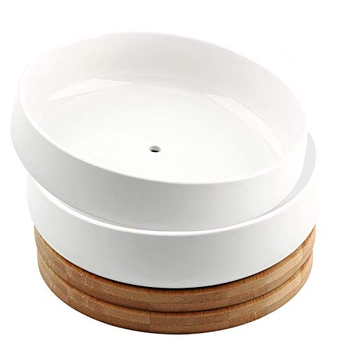 6 Inch Modern White Ceramic Round Succulent Cactus Planter Pot with Drainage Bamboo Tray,Decorative Garden Flower Holder Bowl(Pack of 2)