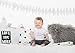 Lamaze Baby Organic Essentials 5 Pack Shortsleeve Bodysuits, Pink Kittie, 3M