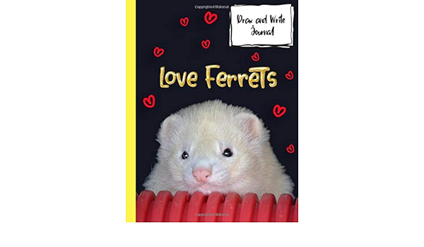 ferrets for kids