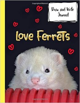 ferrets for kids