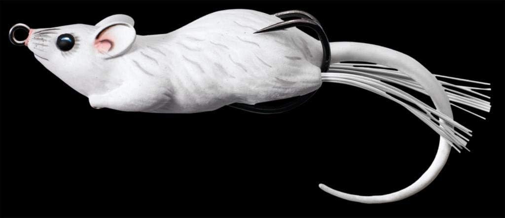 Livetarget Hollow Body Mouse: Sports & Outdoors