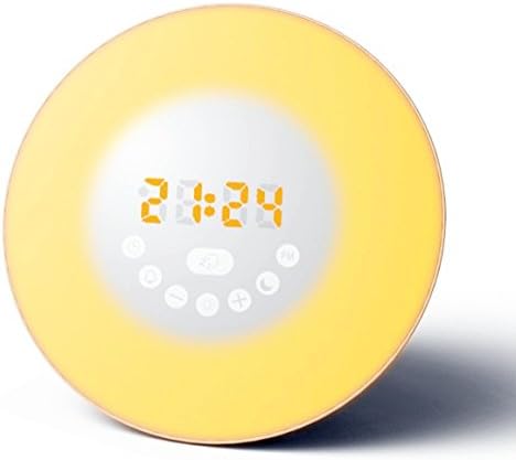 Wake Up Light with Sunrise Simulation,Alarm Clock with Smart Snooze Function,Birds Sounds, FM Radio, Touch Control and USB Charger