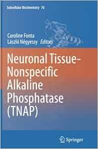 Neuronal Tissue Nonspecific Alkaline Phosphatase Tnap