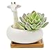 Cuteforyou Succulent Pots,Cute Animal Shaped Cartoon Ceramic Succulent Cactus Flower Planters with Bamboo Tray -Plant Not Included (Giraffe)