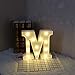 Pooqla LED Marquee Letter Lights Alphabet Light Up Sign for Table Wedding Home Party Bar Decoration M