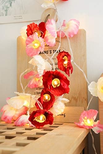 FANStek 20 LED Fairy Flowers Battery Operated String Lights LED Decoration for Christmas Wedding (Red and Pink)