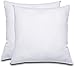 Decorative Pillow Insert (2 Pack) - Square 18x18 Sofa & Bed Pillow - Polyester Cotton Indoor White Pillows by Utopia Bedding