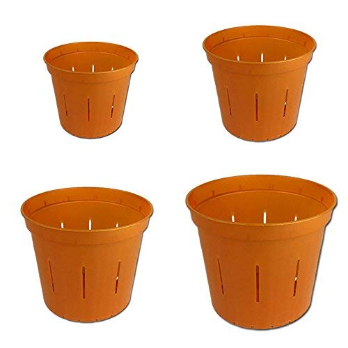 Top 10 Clay Orchid Pots With Holes of 2020 No Place Called Home