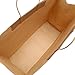 Road 16x6x12 inches Large Kraft Brown Paper Bags with Handles, Shopping, Grocery, Mechandise, Party Bags (50)
