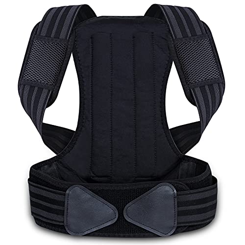 adjustable back support