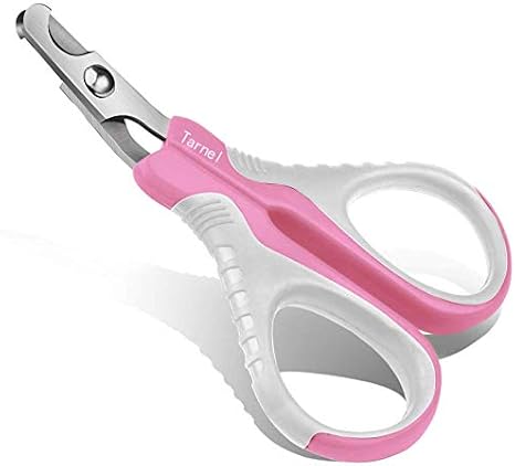 Tarnel Ciseaux A Ongles Professionnels Pour Chat Lapins Et Petits Animaux Tondeuses A Griffes De Chat Ciseaux Acier Inoxydable Courbe Ciseaux Coupe Ongles Chat Amazon Fr Animalerie