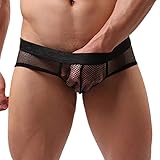 Gotd Mens Sexy Mesh Transparent Underwear Shorts Boxers Underpants Soft Briefs (L, Black)