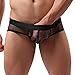 Gotd Mens Sexy Mesh Transparent Underwear Shorts Boxers Underpants Soft Briefs (L, Black)