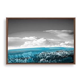 signwin Framed Canvas Wall Art Black and White...