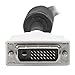 StarTech.com Dual Link DVI Cable - 10 ft - Male to Male - 2560x1600 - DVI-D Cable - Computer Monitor Cable - DVI Cord - Video Cable