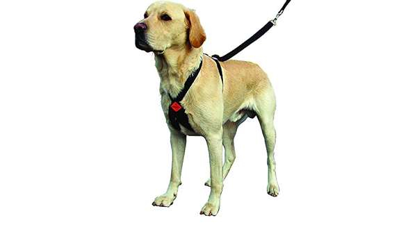no pull dog harness aldi