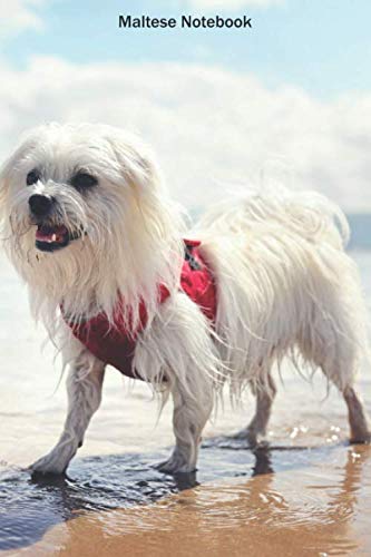 Maltese Notebook: Cool Maltese notebook - Travel Journal to write in - 120 pages - 6"x9"