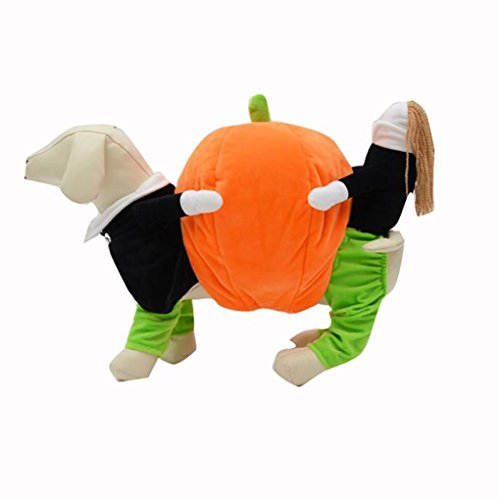 Pet Clothes,Haoricu Funny Halloween Pumpkins Four Feet Dog Costume Small Dog Cat Pet Clothing Puppy Apparel Coat Jumpsiut for Dogs