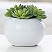 MyGift® Decorative Fake Plants Artificial Succulent Plant in Glazed White Ceramic Pot