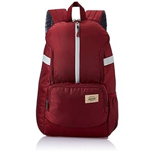 American Tourister Copa 22 Ltrs Red Casual Backpack
