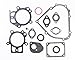 Briggs & Stratton 695438 Engine Gasket Set Replacement for Model 697715 primary