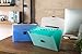 Snail&Hawk 13-Pockets Poly Accordion Expanding File-Folder Organizer with Handle,A4 Size,Buckle Closure (Green)