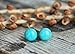 Turquoise Howlite Earrings Surgical Steel Studs 10mm Stud Earrings for Women