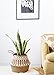 Mkono Seagrass Plant Basket Indoor Planter Decorative Flower Pot Cover Up to 12 Inch Pot, 1 Pack, Large