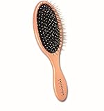 Kardashian Beauty Metal Pin Paddle Brush