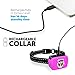 Small Dog Bark Collar Rechargeable – Anti Barking Collar For Small Dogs – Smallest Most Humane Stop Barking Collar – Dog Training No Shock Bark Collar Waterproof – Safe Pet Bark Control Devicethumb 4