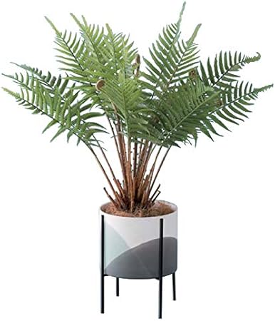 Amazon Co Jp 人工観葉植物 ファーンポット サナージmスタンドw 1個 34 A 代引き不可 インテリアグリーン フェイクグリーンコーディネート おもちゃ