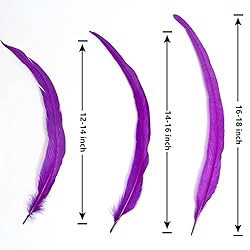 THARAHT 20PCS Rooster Coque Tail Feathers Bulk