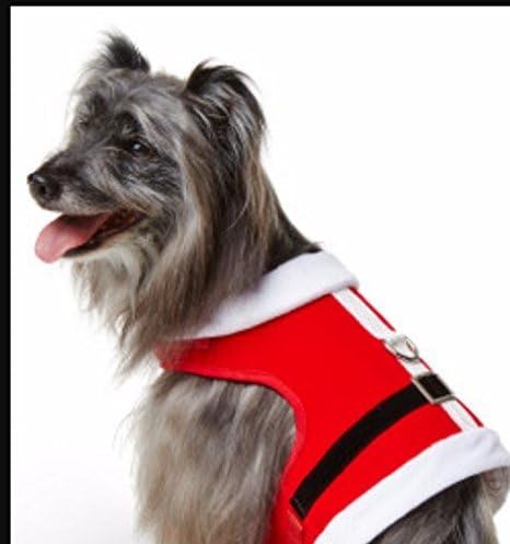 martha stewart dog harness