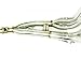 Toce 2006-2019 Yamaha R6 Razor Tip Full Exhaust System