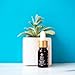 Sibu Premium Himalayan Sea Buckthorn Seed Oil, USDA Organic (10ml) – Amazing for Sensitive Skin, Breakouts, & Irritation