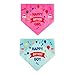 9 Pieces Holiday Dog Bandanas - 27 Inch Dog Bandanas Pack for Birthdays and Holidays - Scarves for Small to Large Dogs