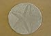 Round Starfish Plastic Craft Mold use with Concrete or Cement for Making Stepping Stones 1105