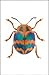 Bugs Journal