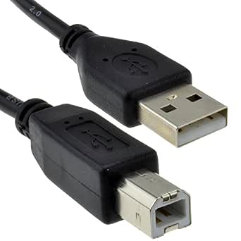 USB 2,0 24AWG Alto Velocidad Cable Impresora Cable A a B Negro 0,25 m 25 cm  [0.25 Metros/0,25m] : Amazon.es: Informática